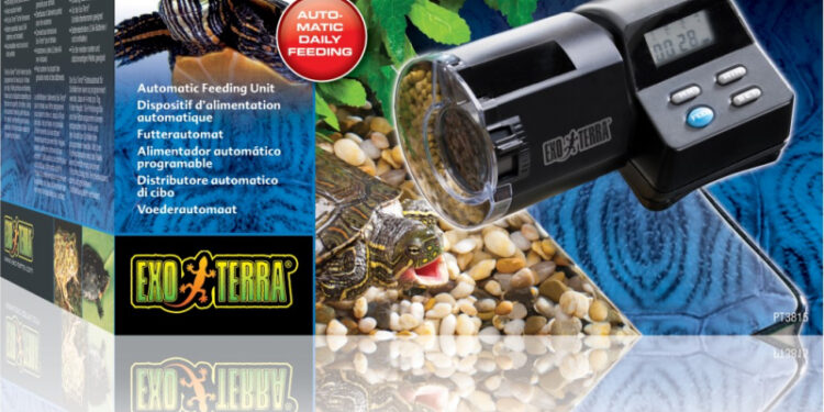 Pourquoi il ne faut pas donner de la laitue aux tortues ?