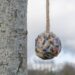 Pourquoi il ne faut pas donner des boules de graisse aux oiseaux ?