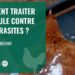 Pourquoi il ne faut pas donner du pain aux poules ?