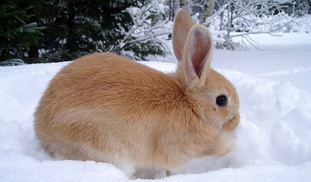 Pourquoi il ne faut pas manger des bananes sur un bateau ?