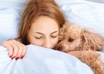 Pourquoi il ne faut pas réveiller un chien ?