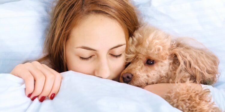 Pourquoi il ne faut pas réveiller un chien ?