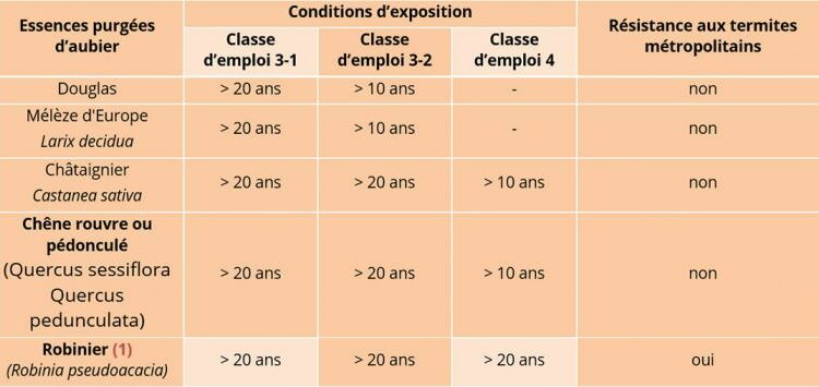 Pourquoi il y a beaucoup de cousins ?