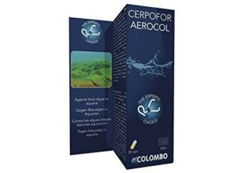 Pourquoi j'ai toujours des algues dans mon aquarium ?