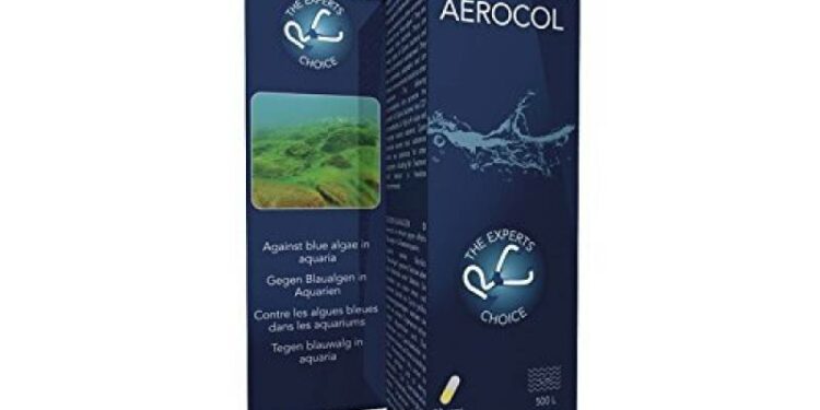 Pourquoi j'ai toujours des algues dans mon aquarium ?