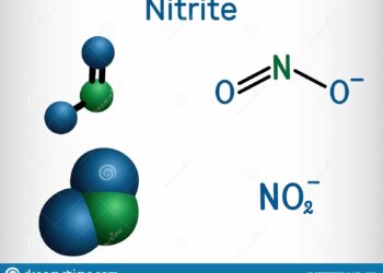 Pourquoi j'ai trop de nitrite dans mon aquarium ?