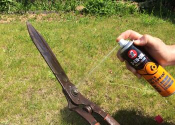 Pourquoi je mange de la terre ?