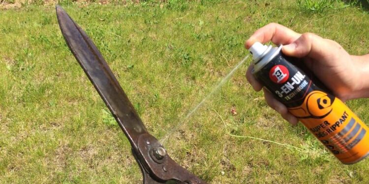 Pourquoi je mange de la terre ?