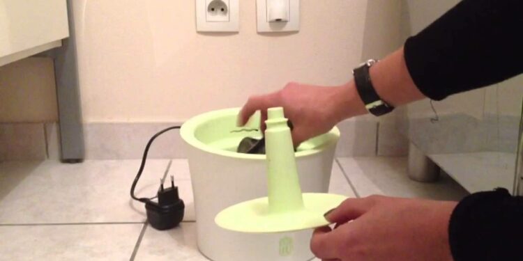 Pourquoi la fontaine à eau de mon chat fait du bruit ?