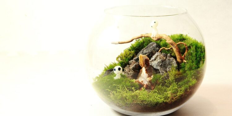 Pourquoi la mousse de mon terrarium devient marron ?