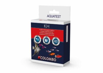 Pourquoi le KH augmente ?