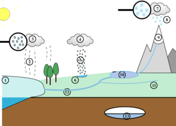 Pourquoi le KH augmente ?