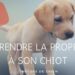 Pourquoi le chiot fait pipi dans la maison ?