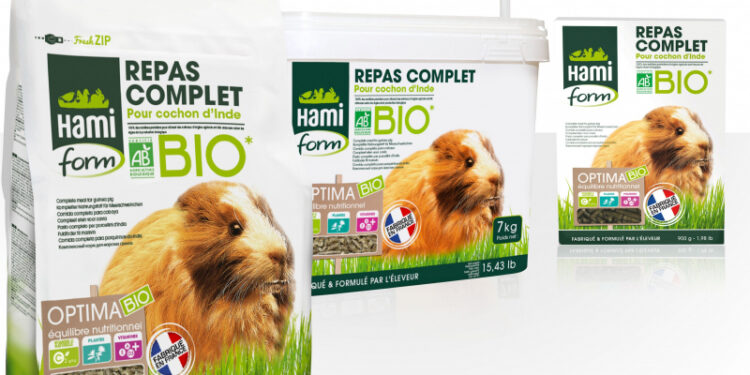 Pourquoi le cochon d'Inde mange tout le temps ?