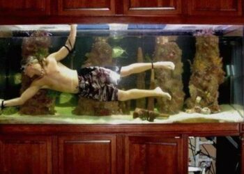 Pourquoi le fond de mon aquarium est sale ?