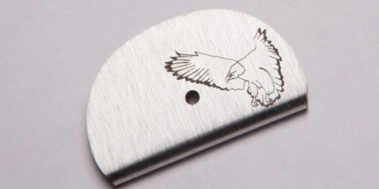 Pourquoi le geai Est-il nuisible ?