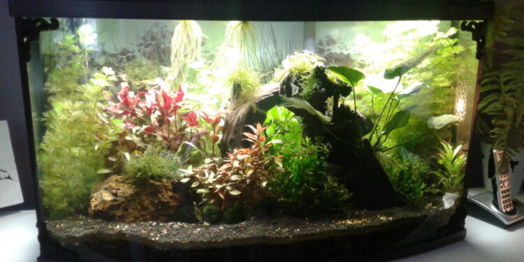 Pourquoi le pH est trop bas ?