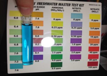 Pourquoi le pH est trop haut aquarium ?