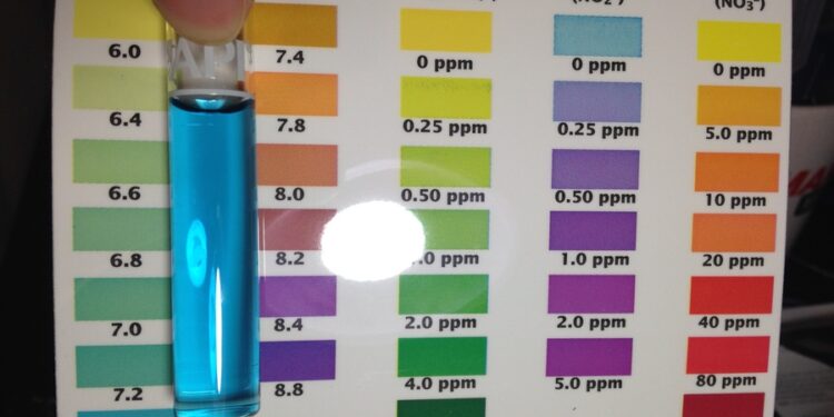 Pourquoi le pH est trop haut aquarium ?
