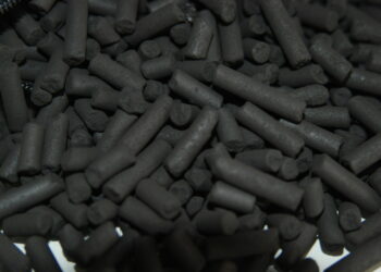 Pourquoi l'eau de l'aquarium est trouble ?