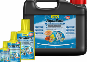 Pourquoi l'eau de l'aquarium est verte ?