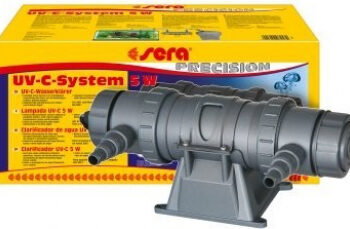 Pourquoi l'eau de mon aquarium est laiteuse ?