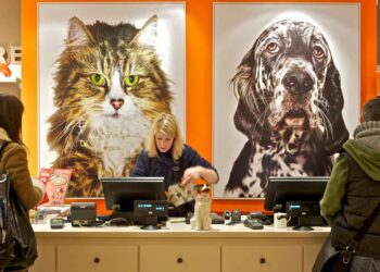 Pourquoi les animaleries ne vendent plus d'animaux ?