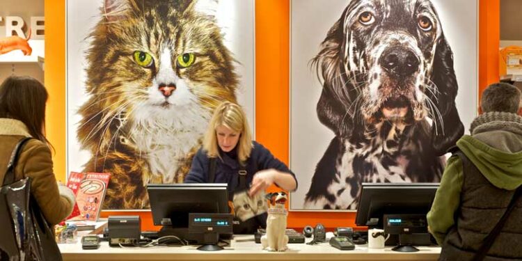 Pourquoi les animaleries ne vendent plus d'animaux ?