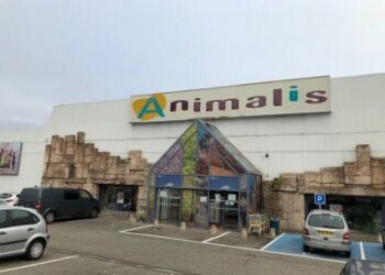 Pourquoi les animaleries ne vendent plus d'animaux ?