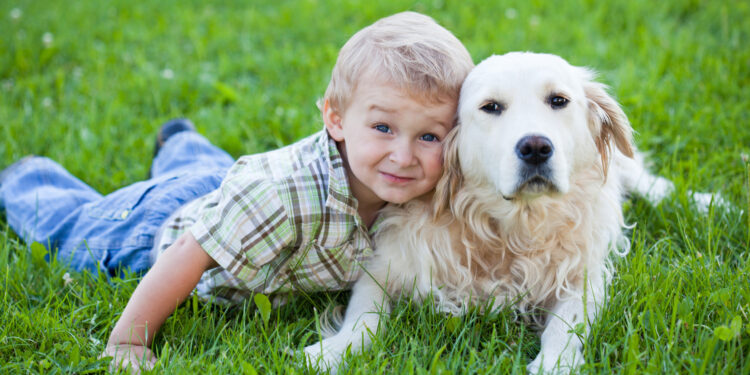 Pourquoi les chiens protègent les enfants ?