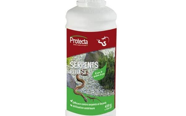 Pourquoi les lézards rentre dans la maison ?