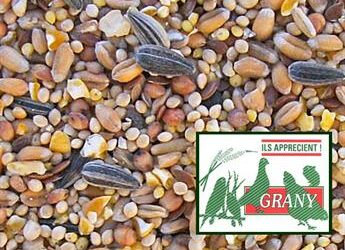 Pourquoi les oiseaux ne viennent pas manger les graines ?