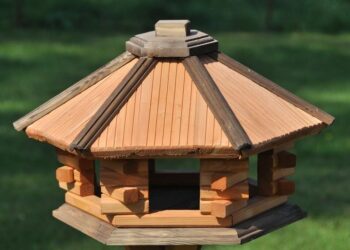 Pourquoi les oiseaux ne viennent plus à la mangeoire ?