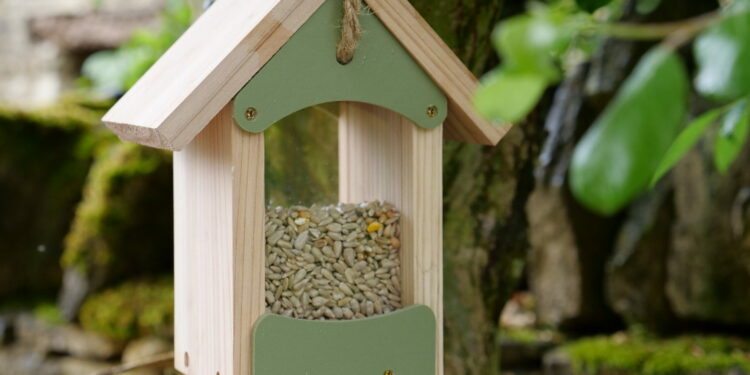 Pourquoi les oiseaux ne viennent plus à la mangeoire ?