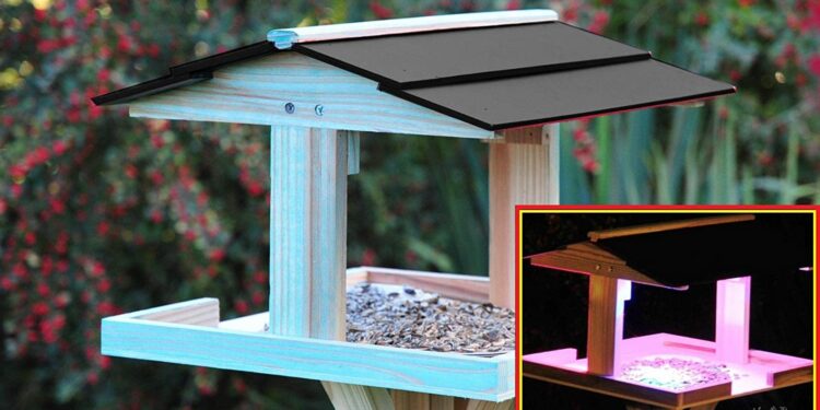 Pourquoi les oiseaux ne vont pas dans le nichoir ?