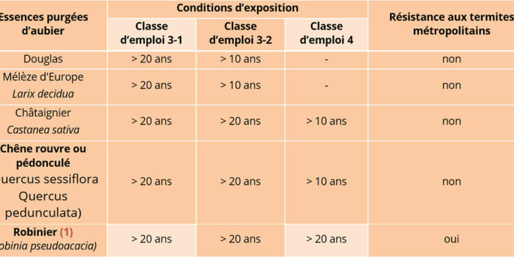 Pourquoi les pies attaque les chats ?