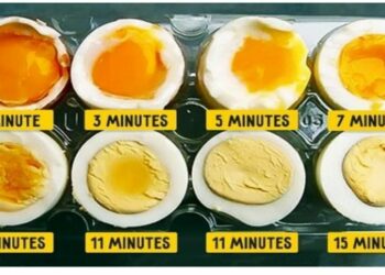 Pourquoi les poussins sont morts dans l'œuf ?