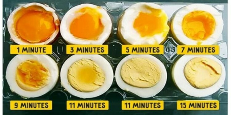 Pourquoi les poussins sont morts dans l'œuf ?