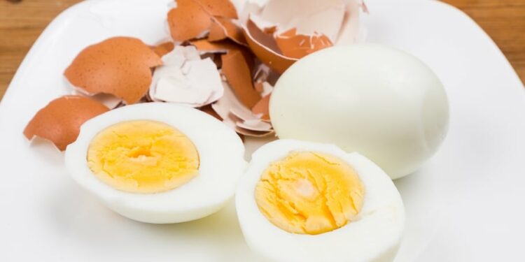 Pourquoi les poussins sont morts dans l'œuf ?