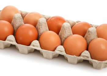 Pourquoi les poussins sont morts dans l'œuf ?