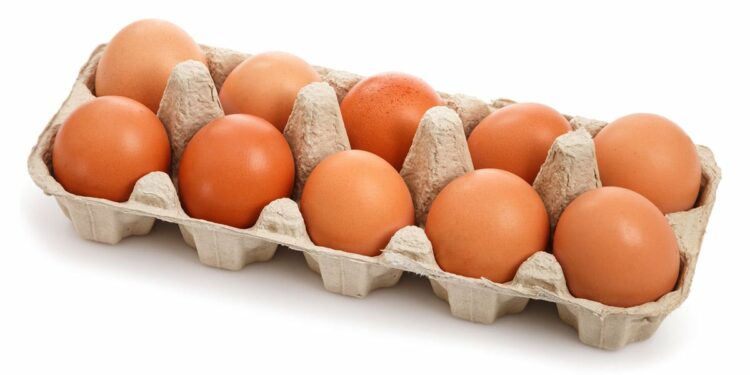 Pourquoi les poussins sont morts dans l'œuf ?