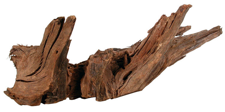 Pourquoi mes racines flottent ?