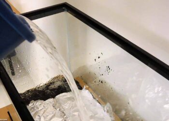 Pourquoi mettre du sel dans l'aquarium ?