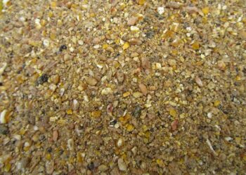 Pourquoi mettre du vinaigre dans l'eau des poules ?