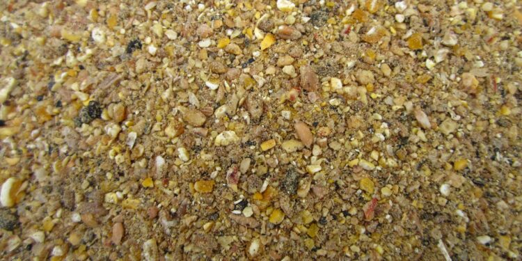 Pourquoi mettre du vinaigre dans l'eau des poules ?