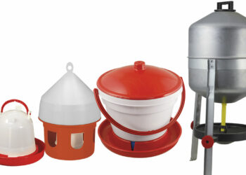 Pourquoi mettre du vinaigre dans l'eau des poules ?