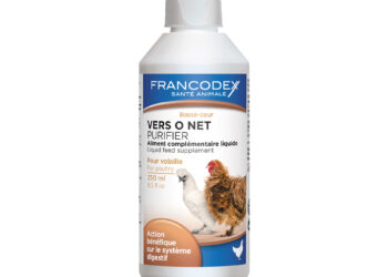 Pourquoi mettre du vinaigre dans l'eau des poules ?