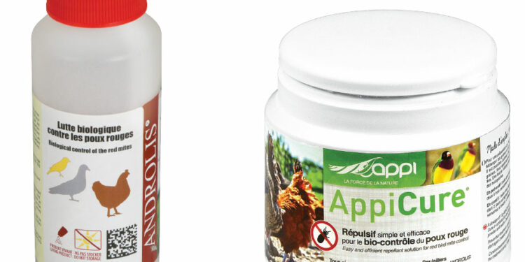 Pourquoi mettre du vinaigre dans l'eau des poules ?