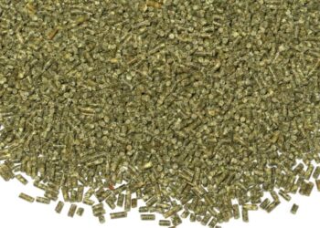 Pourquoi mettre du vinaigre dans l'eau des poules ?