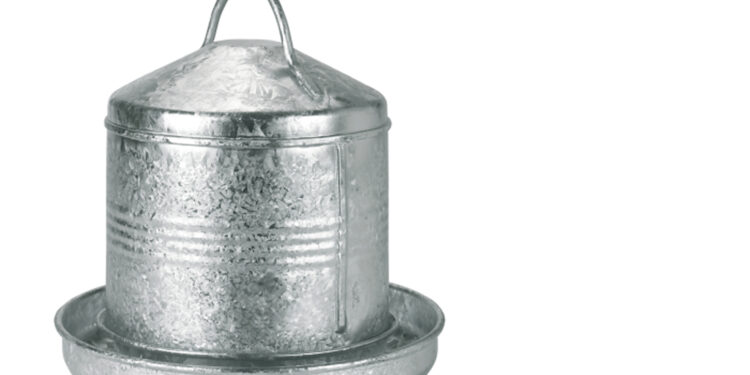 Pourquoi mettre du vinaigre dans l'eau des poules ?